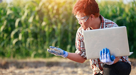 Scientist in a field holding a laptop and studying a plant
