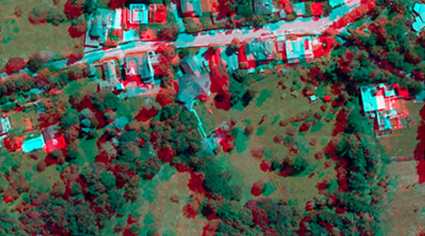 3D aerial image of a rural neighborhood with green land and trees