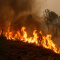 A forest hillside covered in the leaping orange flames of a raging wildfire under a sky heavy with dark brown smoke